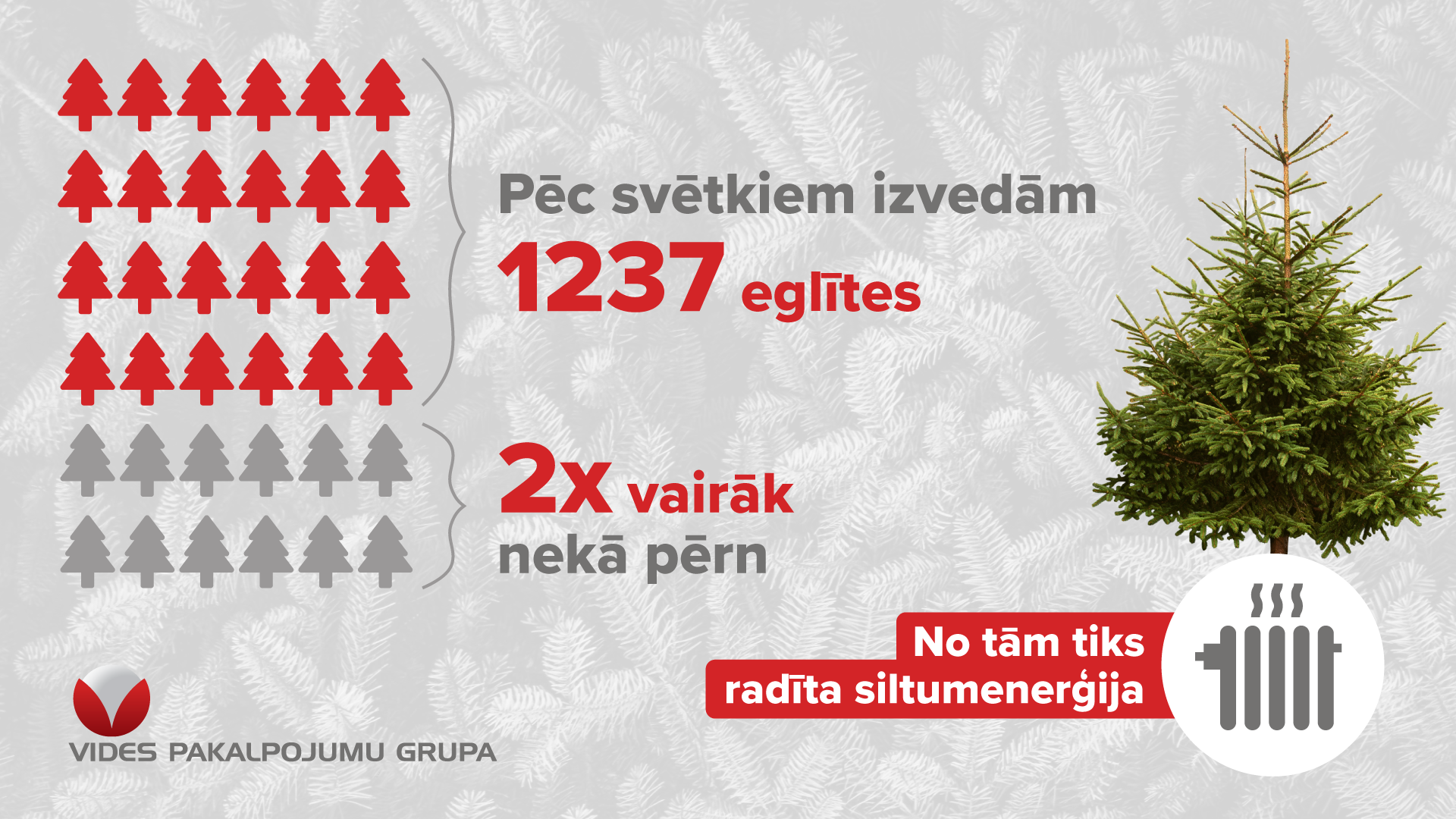 VPG izvestās eglītes